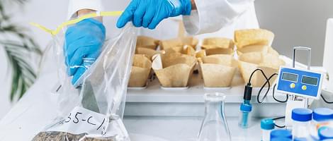 Top 5 Hidden Environmental Hazards in Your Home